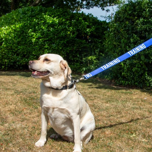Ancol Awareness Training & Safety Dog Lead (1.5m)