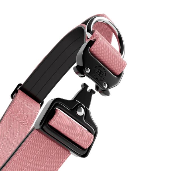 Bully Billows 4cm Combat Collar with Handle and Rated Clip (Pink)