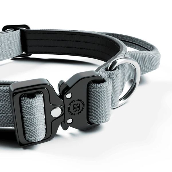 Bully Billows 2.5cm Combat Collar with Handle and Rated Clip Metal Grey (XS - M)