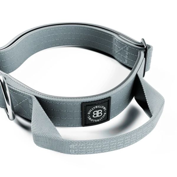 Bully Billows 2.5cm Combat Collar with Handle and Rated Clip Metal Grey (XS - M)