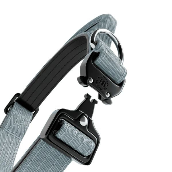 Bully Billows 2.5cm Combat Collar with Handle and Rated Clip Metal Grey (XS - M)