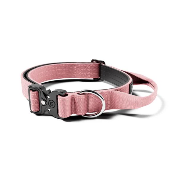 Bully Billows 2.5cm Combat Collar with Handle and Rated Clip Pink (XS - M)