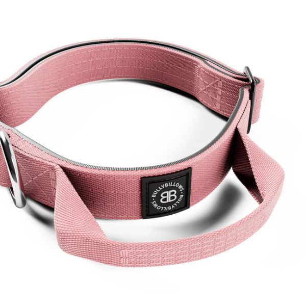 Bully Billows 2.5cm Combat Collar with Handle and Rated Clip Pink (XS - M)