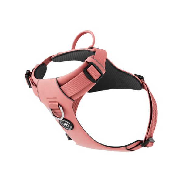 Bully Billows Air Harness