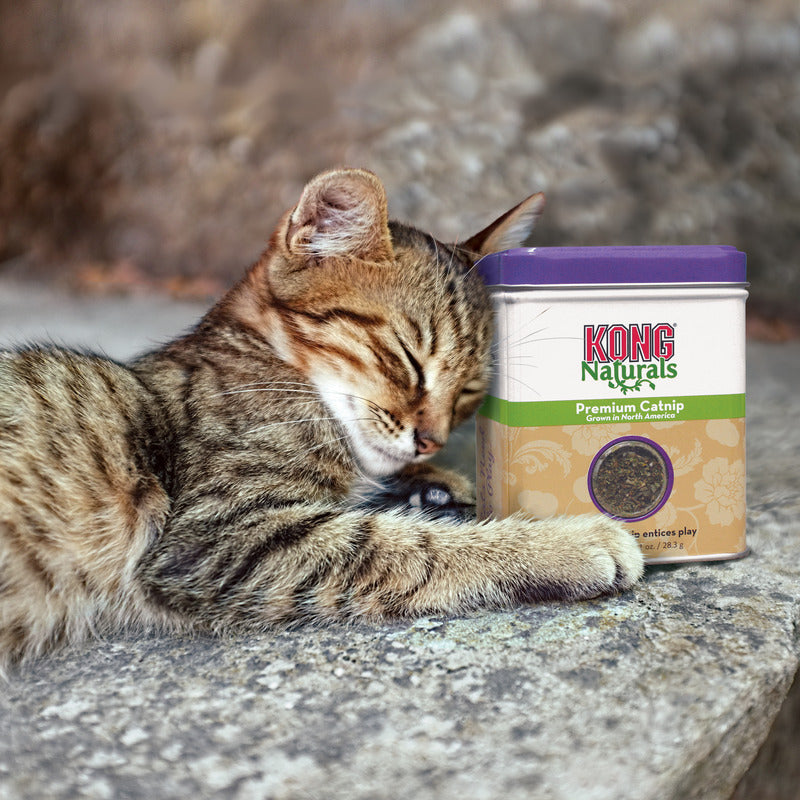 KONG Naturals Catnip (2oz)