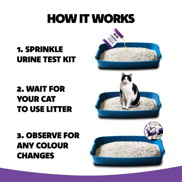 Dr Ted Cat Urine Test (Glucose Detector)
