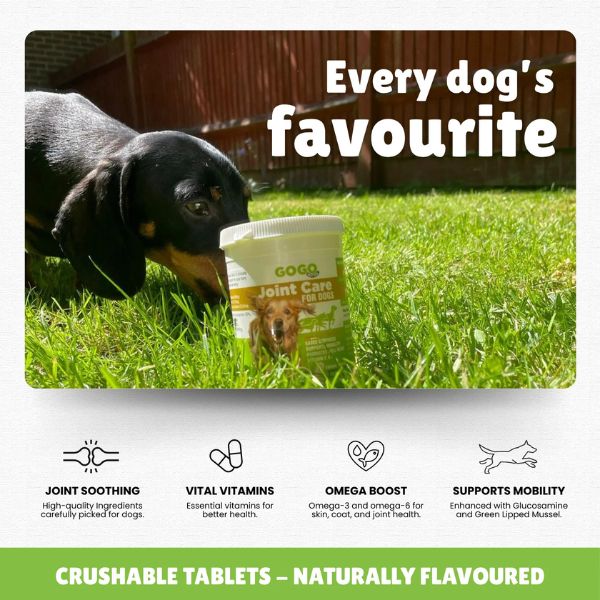 GoGo Motion Joint Care Tablets for Dogs