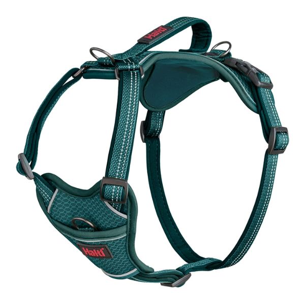 Halti Anatomy Harness (Teal)