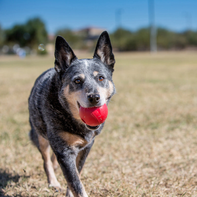 KONG Ball (Red)