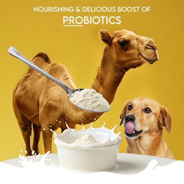 Pawfect Nature's Sip 100% Natural Camel Milk Powder for Dogs & Puppies
