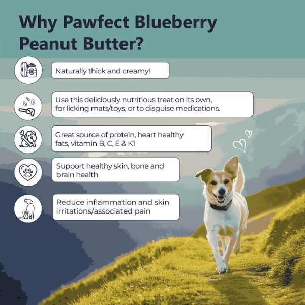 Pawfect Peanut Butter with Blueberries & Hemp Seeds for Dogs & Puppies