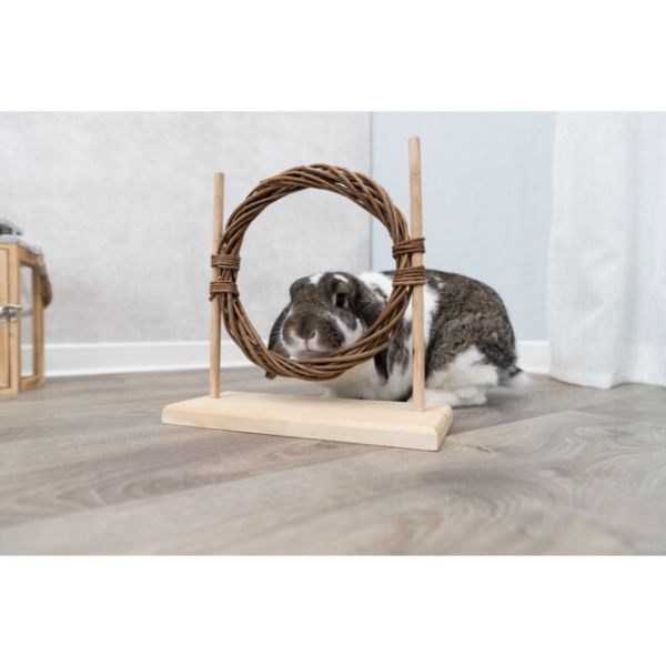 Small Animal Agility Set