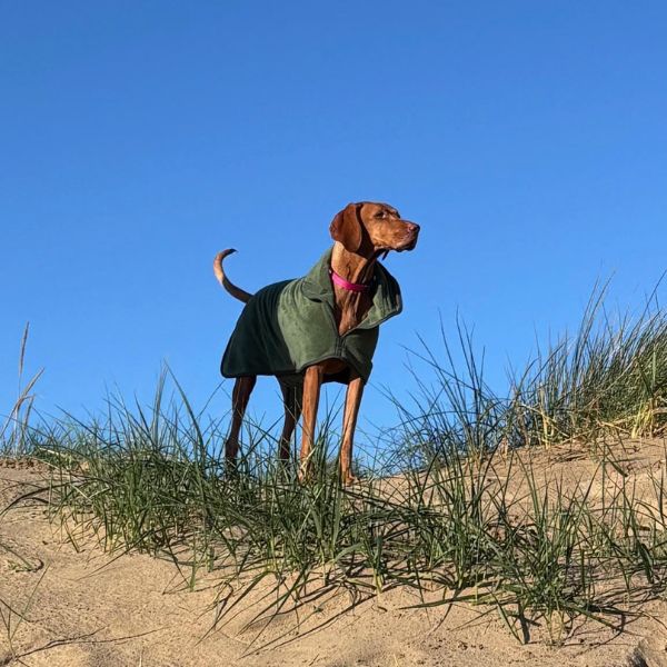 Stellar Luxury Drying Robes for Dogs (Chive Green)