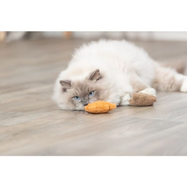 Trixie Plush Bear with Catnip