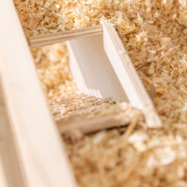 Trixie Observation Box for Small Animals