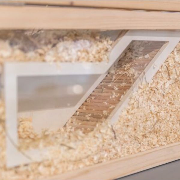Trixie Observation Box for Small Animals