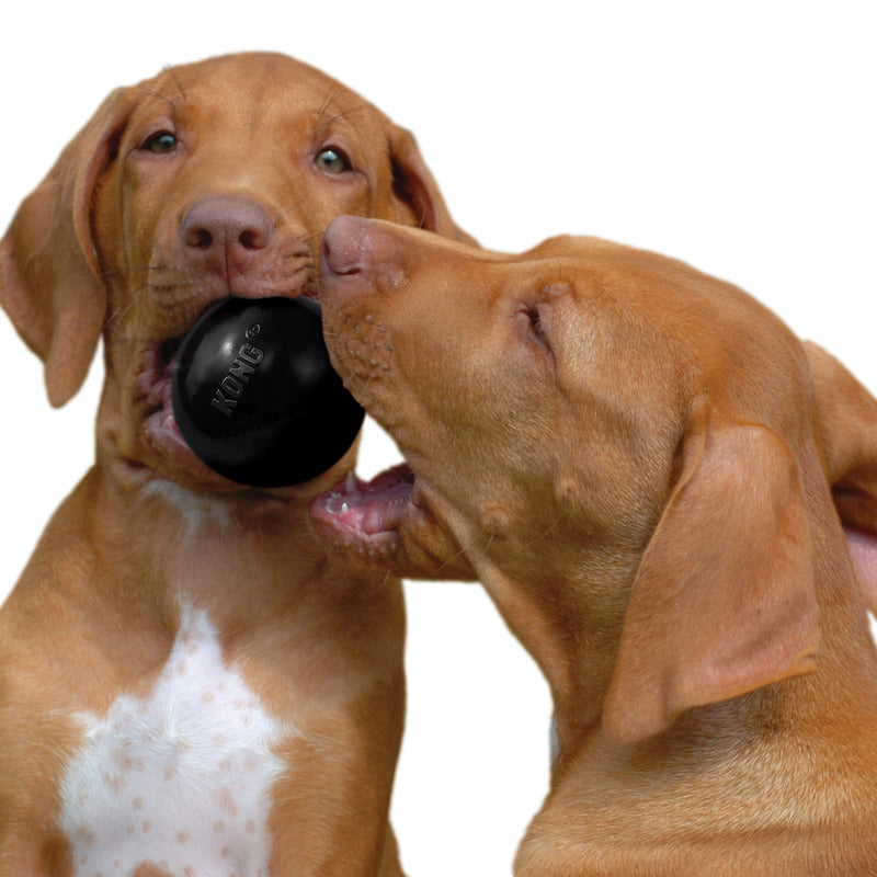 KONG Extreme Ball (Medium/Large)