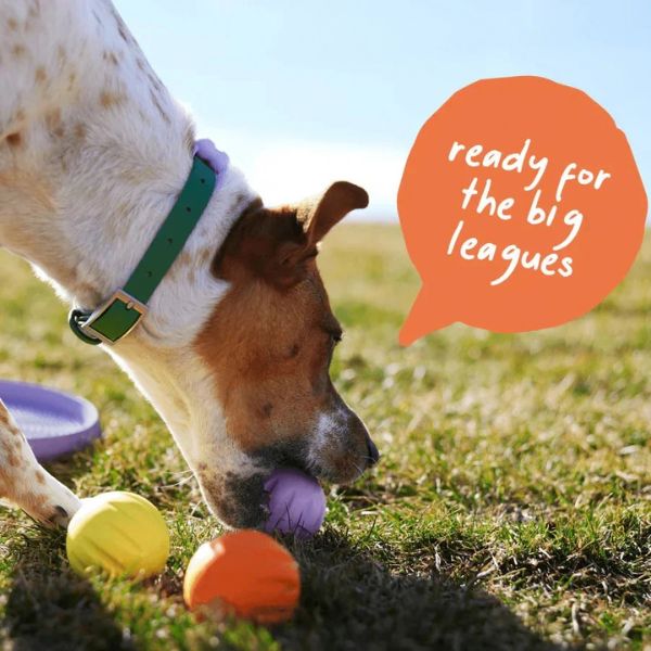 Woof Flyball 2-in-1 Dog Ball & Puzzle Toy