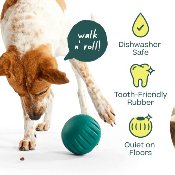 Woof Walkabout Slow Feeder Ball & Treat Puzzle Dog Toy