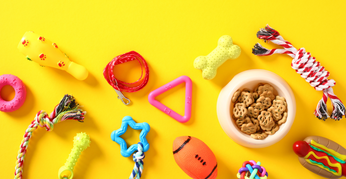 Factors to Consider when Finding a Pet Shop