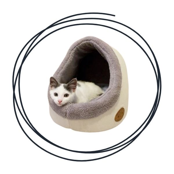 Cat Beds