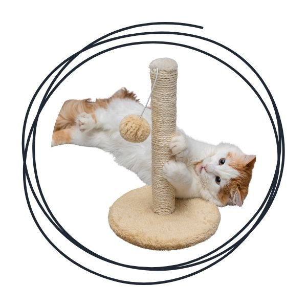 Cat Scratching Posts