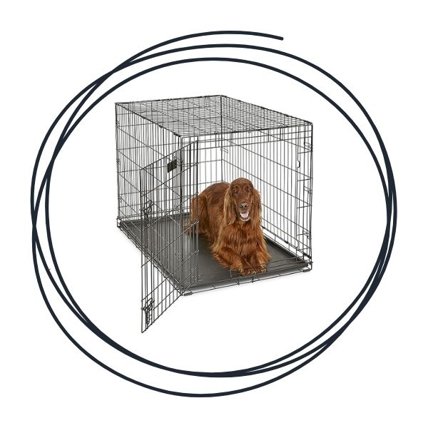 Dog Crates & Travel