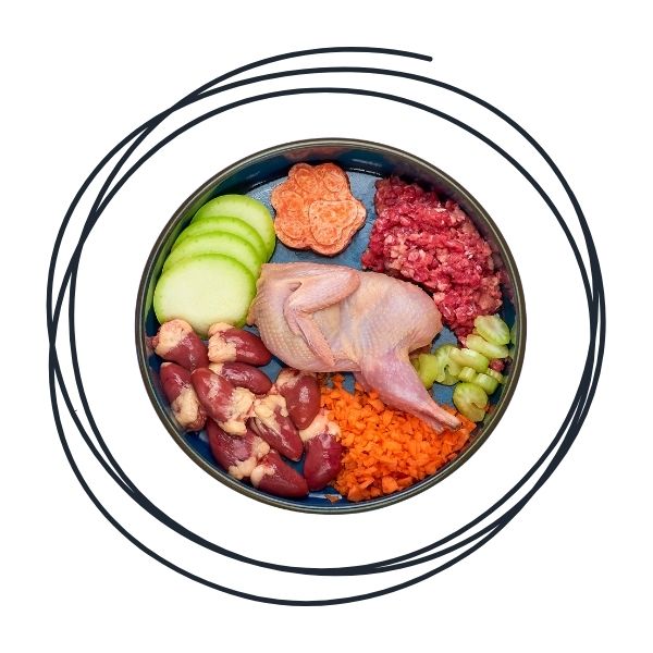Frozen Dog Food