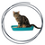 Cat Litter, Trays & Accessories