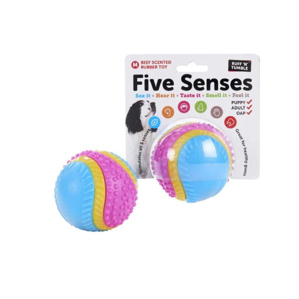 Five Senses Sensory Ball