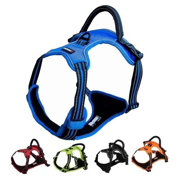 Akado Harness