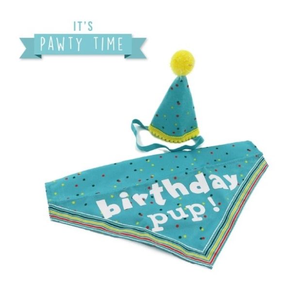 Ancol Pawty Time Hat &amp; Bandana Set (Blue &amp; Yellow)