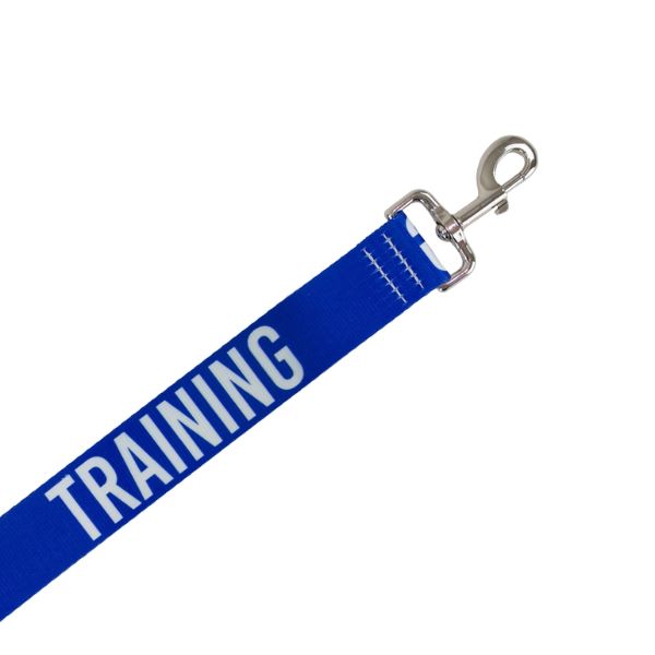 Ancol Awareness Training &amp; Safety Dog Lead (1.5m)