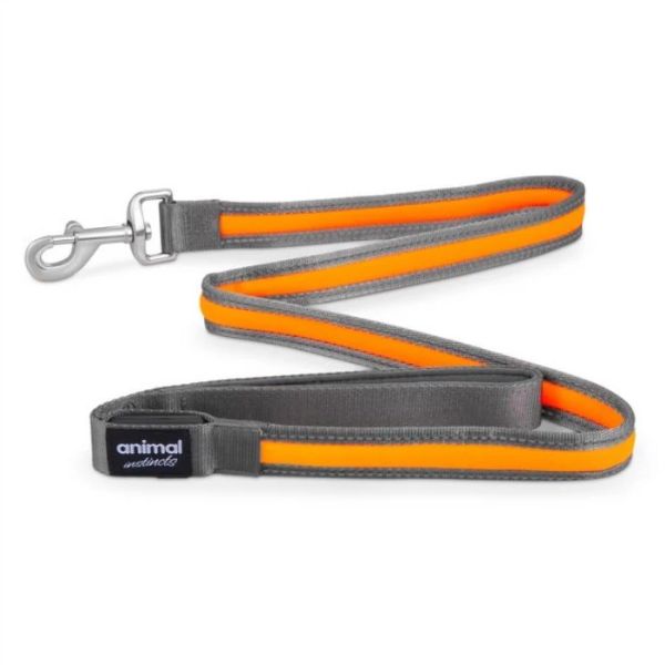 Animal Instincts Flashing USB Rechargeable Nylon Leash (1.2m)
