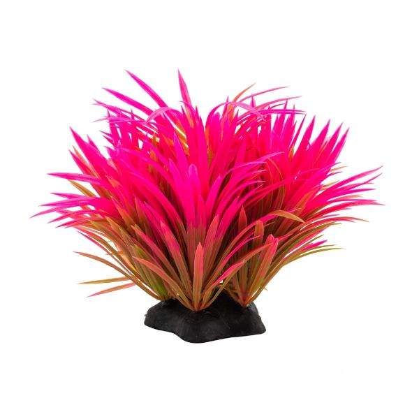 Aqua Spectra Helanthium Plant (Pink)