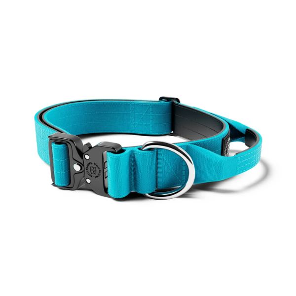 Bully Billows 4cm Combat Collar with Handle and Rated Clip (Light Blue)