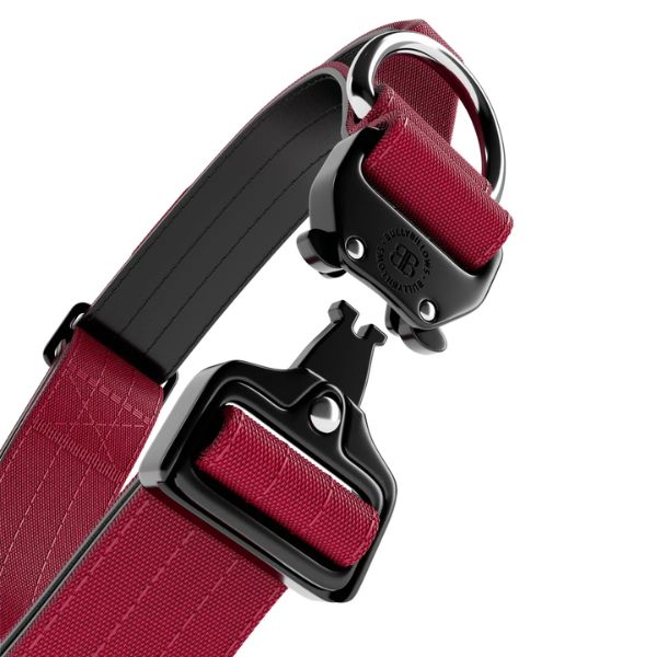 Bully Billows 4cm Combat Collar with Handle and Clip (Burgundy)