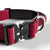 Bully Billows 4cm Combat Collar with Handle and Clip (Burgundy)