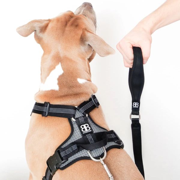 Bully Billows Active Harness With Handle - Padded Lining & Highly Reflective - Grey