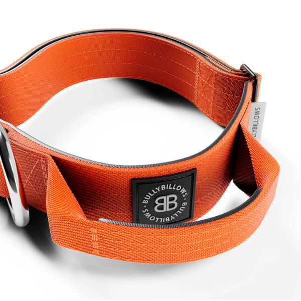 Bully Billows 4cm Combat Collar with Handle and Rated Clip (Orange)