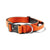 Bully Billows 4cm Combat Collar with Handle and Rated Clip (Orange)