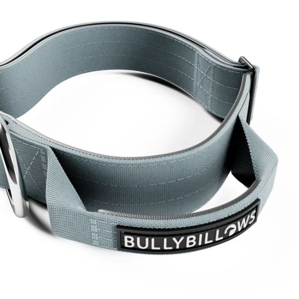 Bully Billows 4cm Combat Collar with Handle and Rated Clip (Metal Grey)