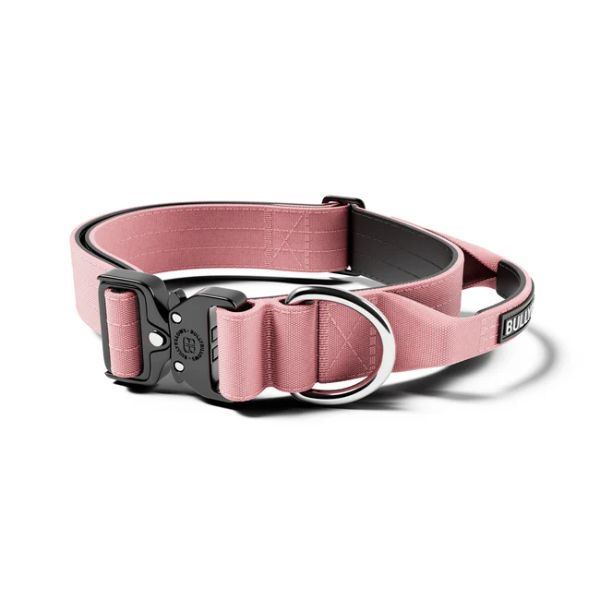 Bully Billows 4cm Combat Collar with Handle and Rated Clip (Pink)