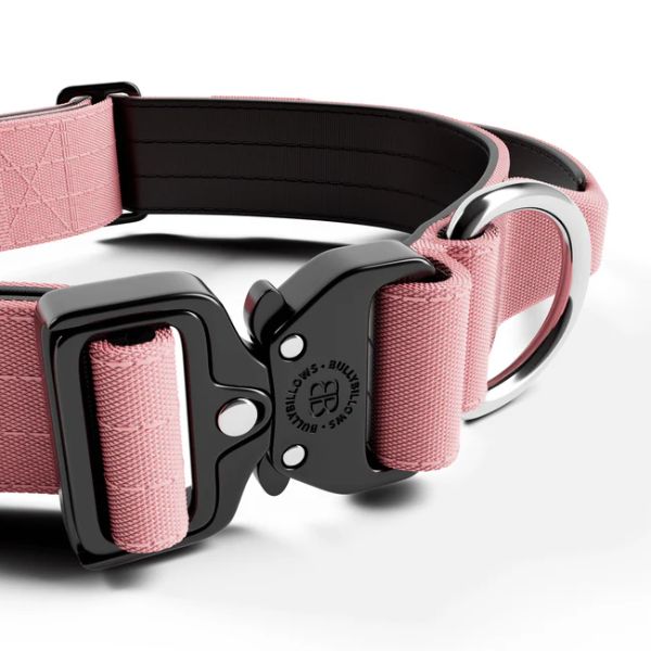 Bully Billows 4cm Combat Collar with Handle and Rated Clip (Pink)