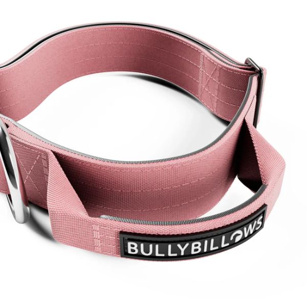 Bully Billows 4cm Combat Collar with Handle and Rated Clip (Pink)
