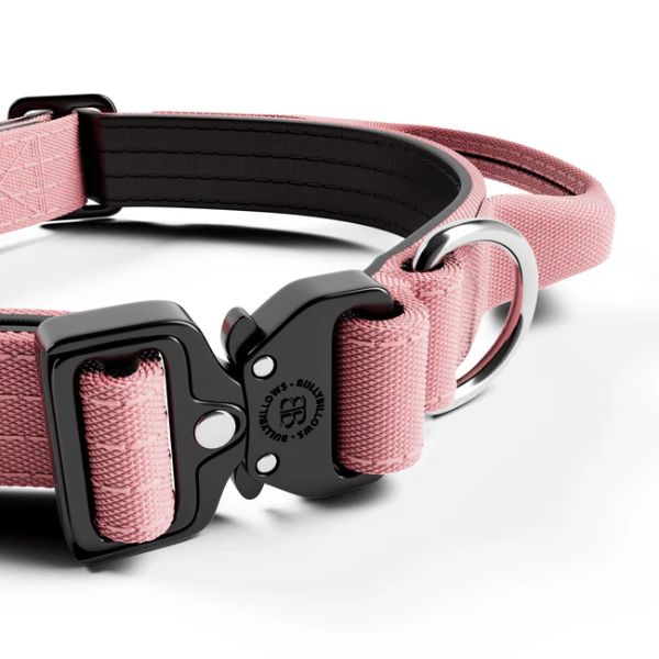 Bully Billows 2.5cm Combat Collar with Handle and Rated Clip Pink (XS - M)