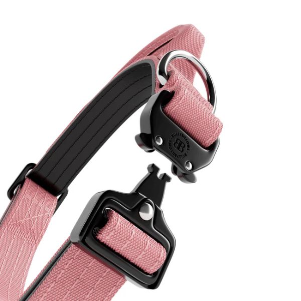 Bully Billows 2.5cm Combat Collar with Handle and Rated Clip Pink (XS - M)