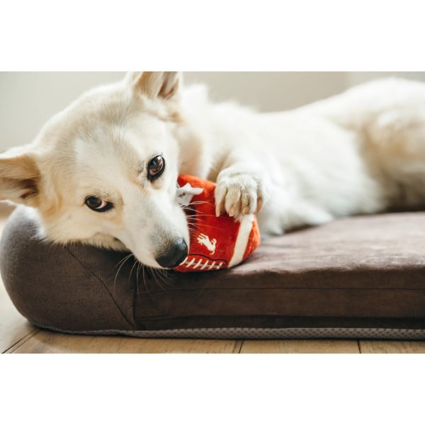 Back To School Fido&#39;s Football Plush Dog Toy