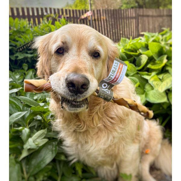 Anco Naturals Beef &amp; Camel Braided Rolls (Large)