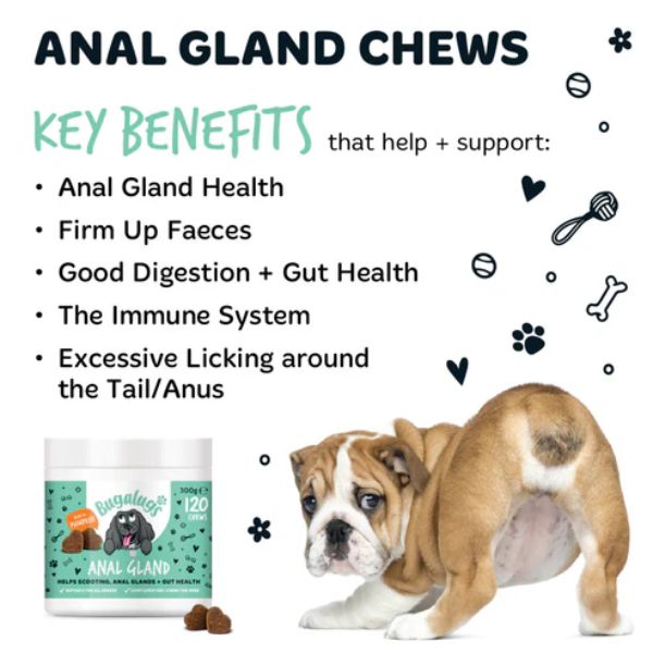 Bugalugs Anal Gland Supplement Chews for Dogs